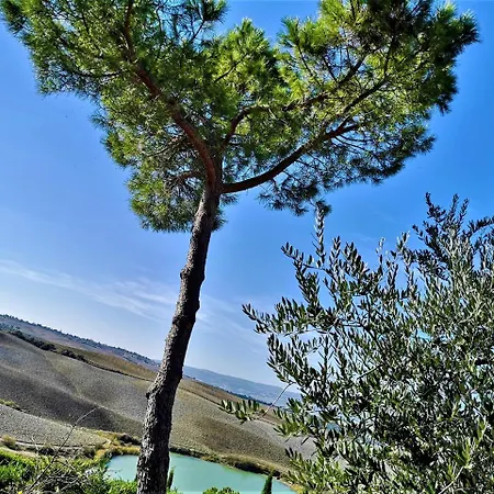 Agriturismo Palazzo Conti - B-3